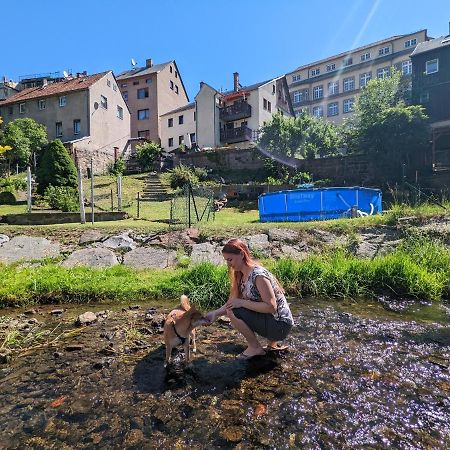 Familienwohnung für 3 mit Sauna, Pool&Terrasse - Famzi Sebnitz Exterior foto