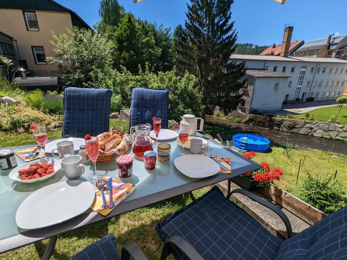 Familienwohnung für 3 mit Sauna, Pool&Terrasse - Famzi Sebnitz Exterior foto