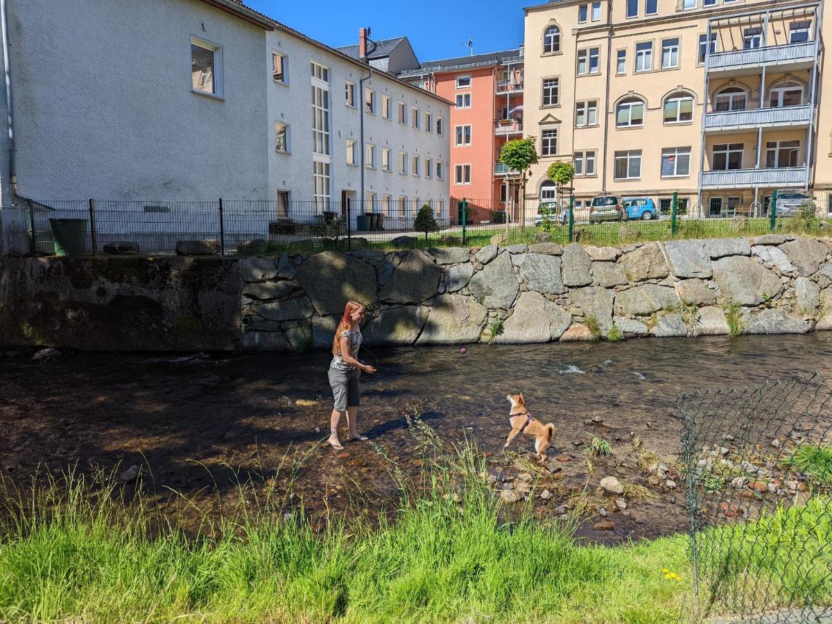 Familienwohnung für 3 mit Sauna, Pool&Terrasse - Famzi Sebnitz Exterior foto